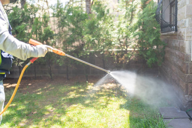 Best Commercial Pest Control  in Stickney, IL